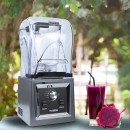 TIGER GB-A300 Blender with jug silver