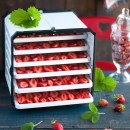 ATACAMA Cube Food Dehydrator