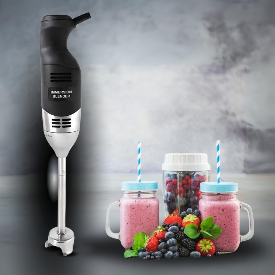 IB-250EV Immersion Blender