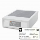 GR-A100 Induction Cooker