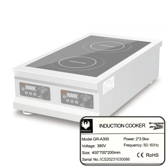 GR-A300 Induction Cooker