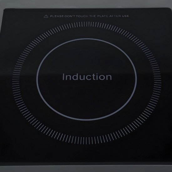 GR-A100 Induction Cooker