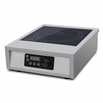 GR-A100 Induction Cooker