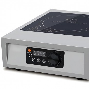 GR-A100 Induction Cooker