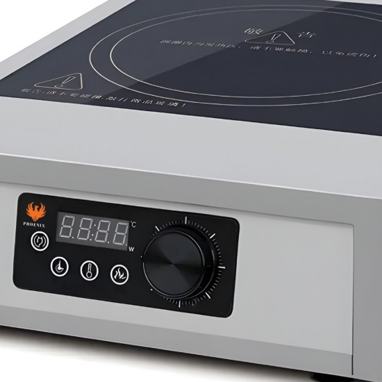 GR-A100 Induction Cooker