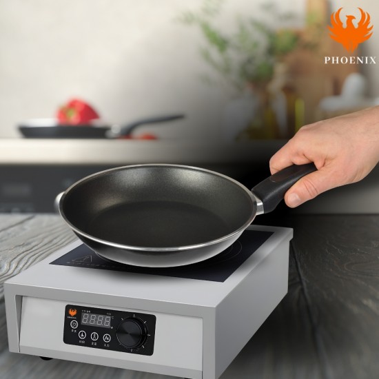 GR-A100 Induction Cooker