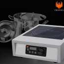 GR-A100 Induction Cooker