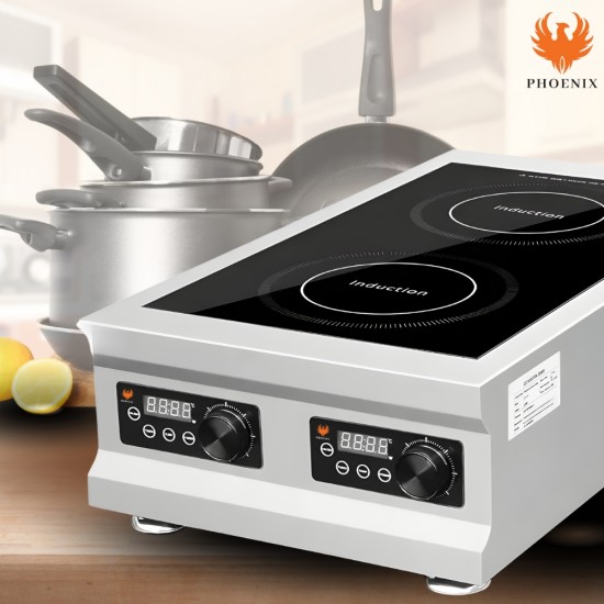 GR-A300 Induction Cooker