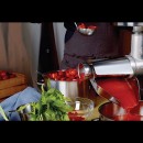 BIG-65 Electric tomato squeezer