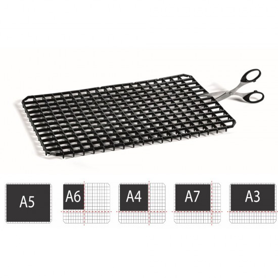 Display plexus for food promotion