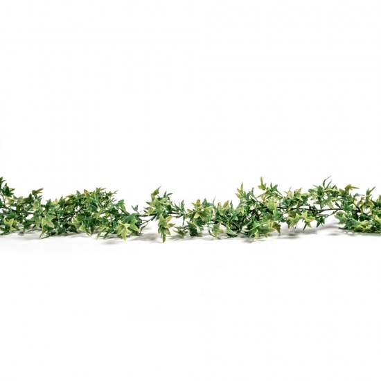 ΧR-35 decorative greenery parsley