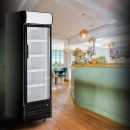 DB-420C Refrigerated beverages display