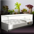 D40TW Salad bar βιτρίνα 