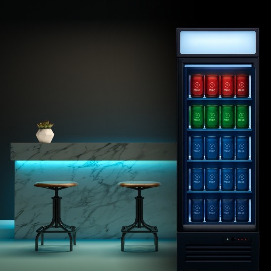 GN-410FS Glass Door Refrigerator