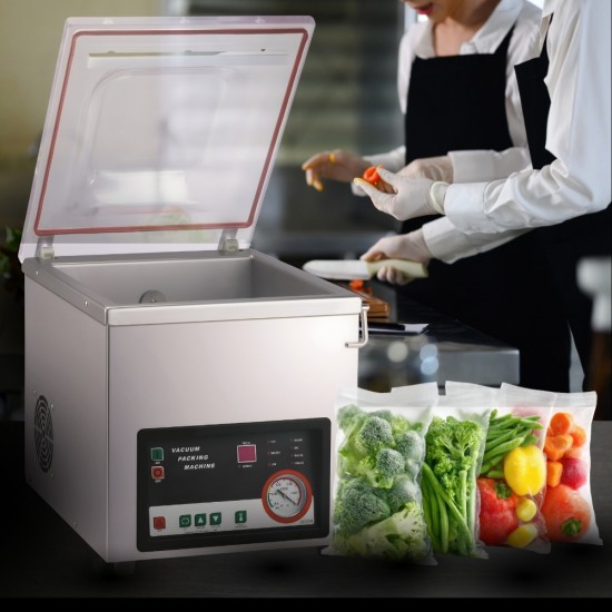 DZ-300PJ Vacuum desktop