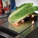 Magellan 9900i scanner Scale