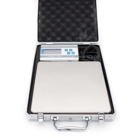 P3150 Portable Platform Scale