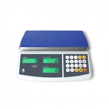  CSG Counting Scale